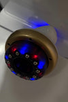 Isabelle